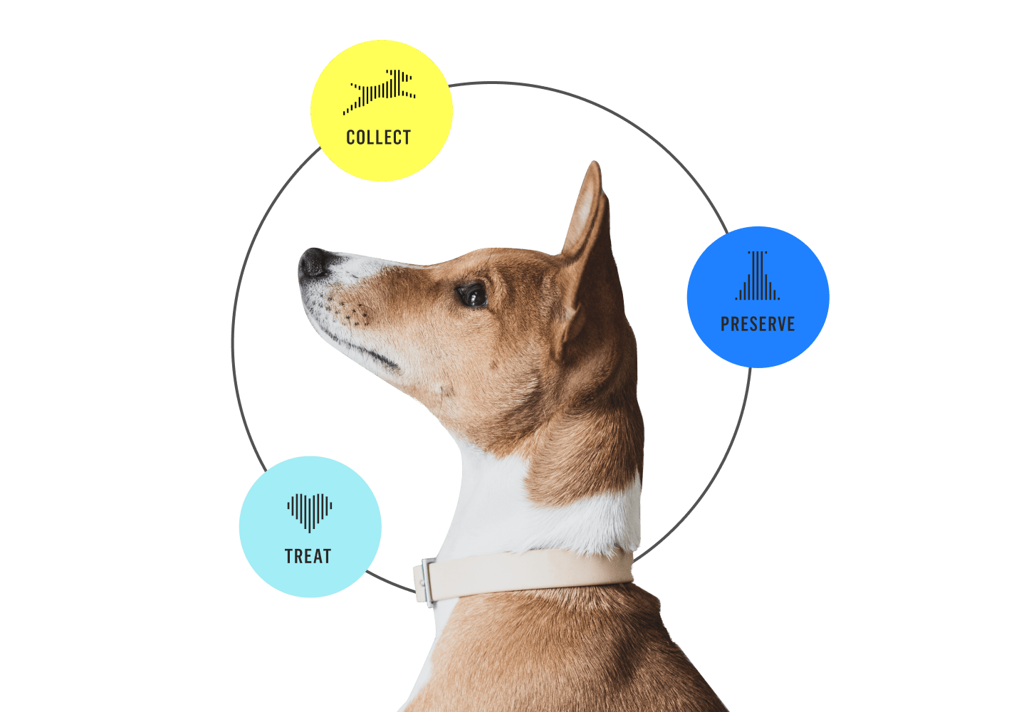 Gallant Closes $18 Million Series B to Bring Ready-to-Use Stem Cell Therapies for Pets to Market
